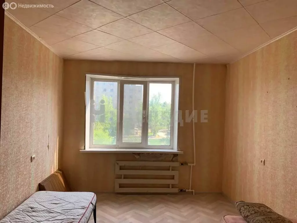 Квартиры В Белой Калитве Купить Цены