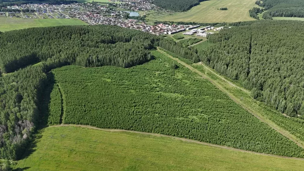 Участок в Свердловская область, Сысертский муниципальный округ, Домо ... - Фото 1