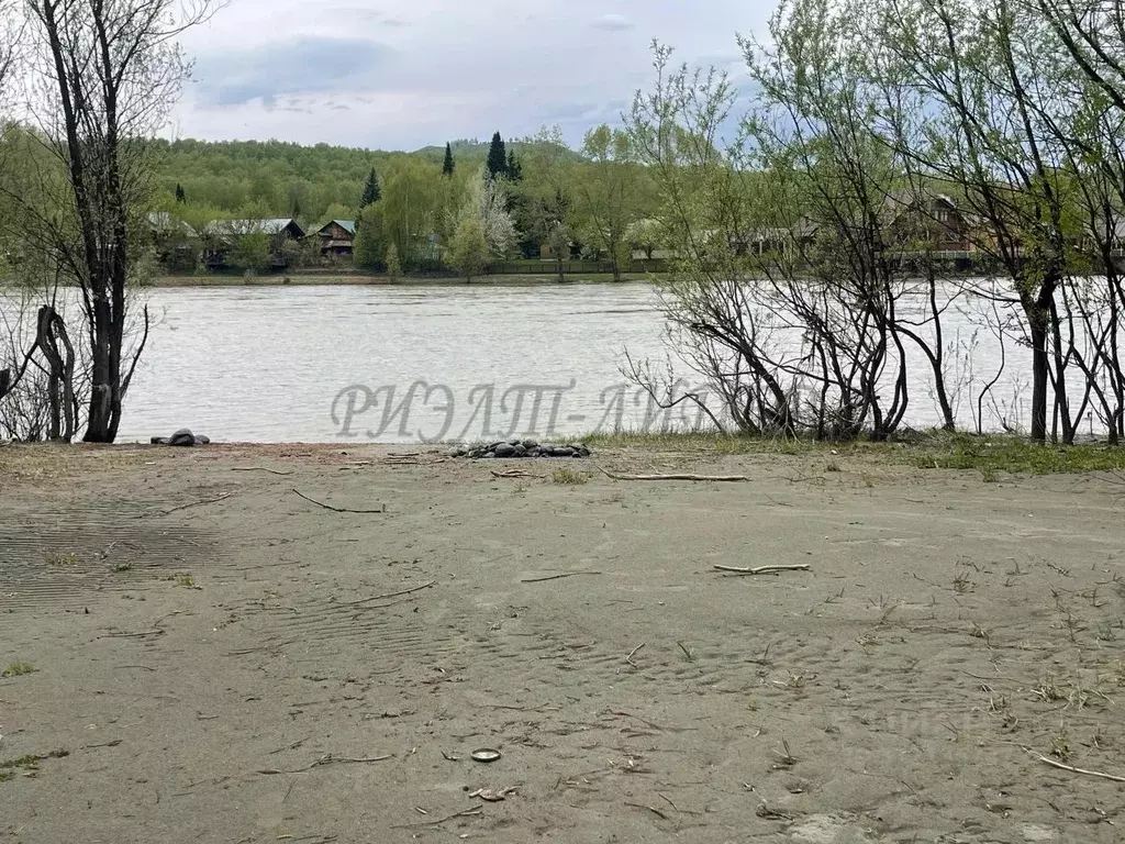 Дом в Алтай, Майминский район Р-256 Чуйский тракт, 453-й км (48 м) - Фото 1