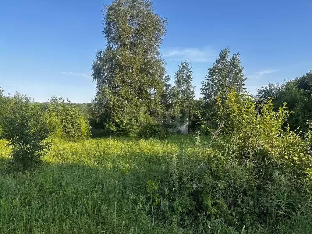 Участок в Амурская область, Благовещенск  (7.9 сот.) - Фото 1