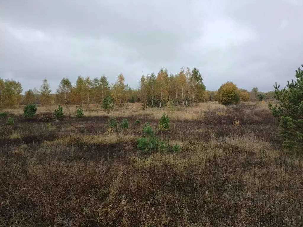 Участок в Московская область, Коломна городской округ, д. Свиридоново ... - Фото 0