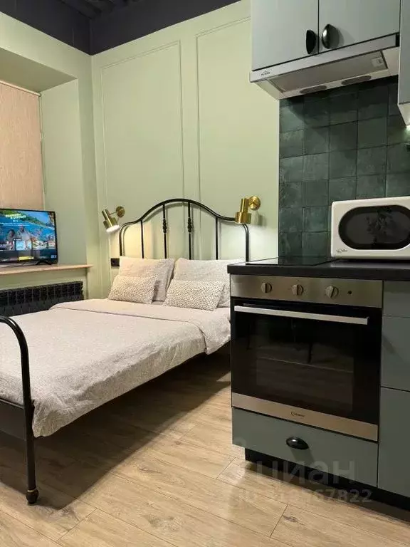 Студия Санкт-Петербург ул. Шкапина, 42 (29.0 м) - Фото 1