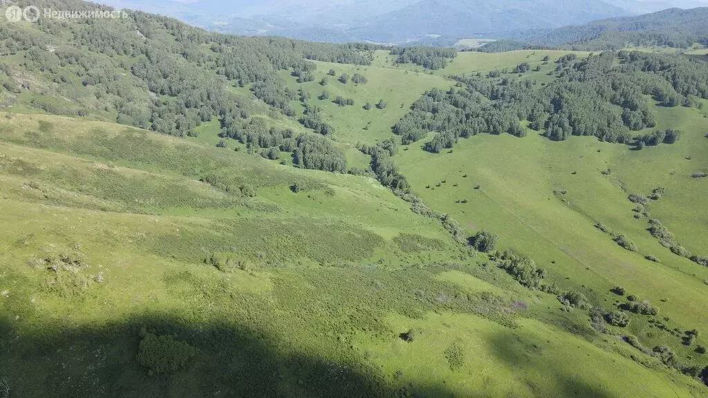 Участок в Чарышский район, село Чарышское (1000 м) - Фото 1