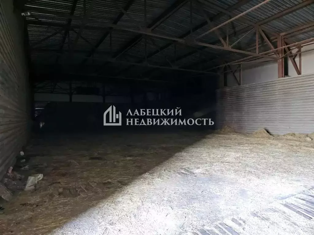 Помещение свободного назначения в Ленинградская область, Всеволожский ... - Фото 2