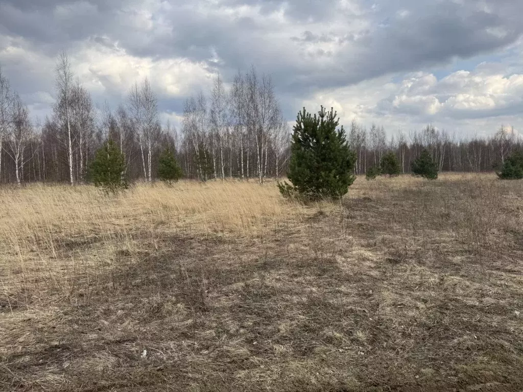 Участок в Ярославская область, Некрасовский муниципальный округ, ... - Фото 1