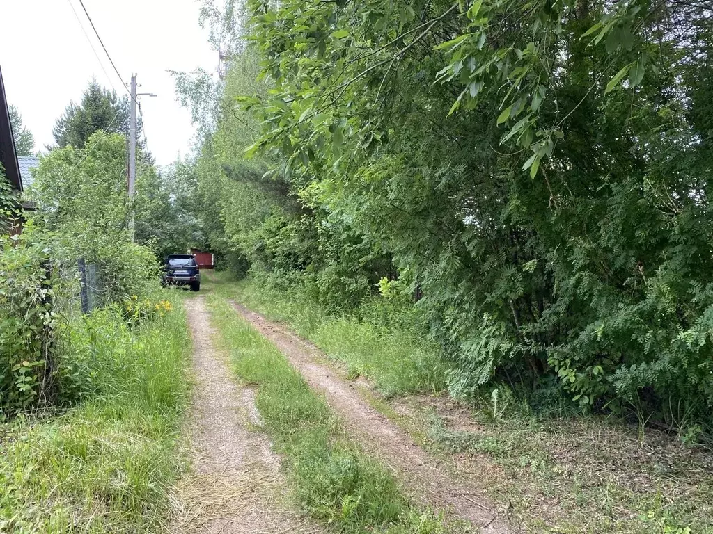 Участок в Московская область, Можайский муниципальный округ, Горки СНТ ... - Фото 1