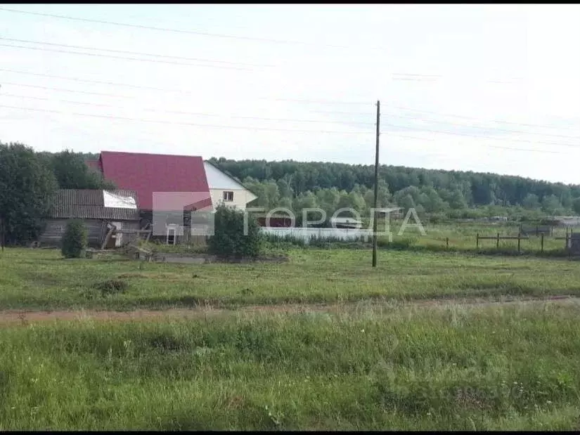 Участок в Новосибирская область, Колыванский район, д. Воробьево ... - Фото 0