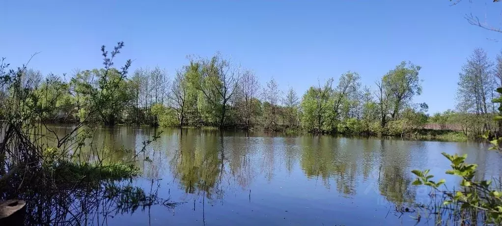 Участок в Орловская область, Орловский район, д. Булгаковы Горки  ... - Фото 0