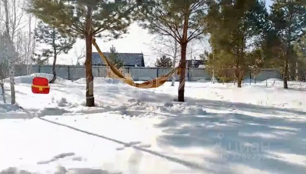 Участок в Тюменская область, Ялуторовский муниципальный округ, с. ... - Фото 2