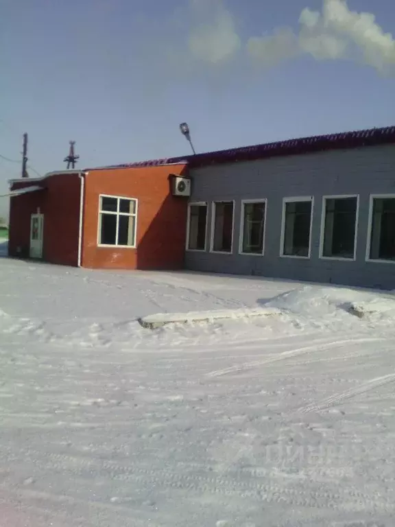 Помещение свободного назначения в Алтайский край, с. Ключи ул. Титова, ... - Фото 2
