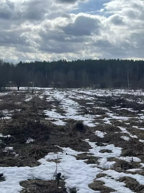 Участок в Московская область, Сергиево-Посадский городской округ, д. ... - Фото 0