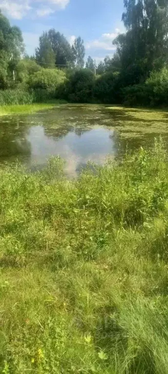 Участок в Тверская область, Конаковский муниципальный округ, д. Сажино ... - Фото 2