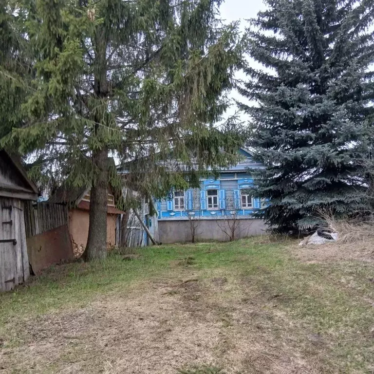 Дом в Саратовская область, Базарно-Карабулакский район, Алексеевское ... - Фото 2