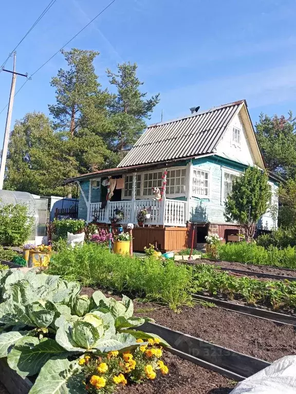 Дом в Архангельская область, Приморский муниципальный округ, Борок СНТ ... - Фото 1