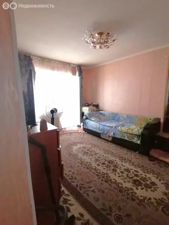 1-комнатная квартира: село Криводановка, Микрорайон, 31 (28 м) - Фото 0