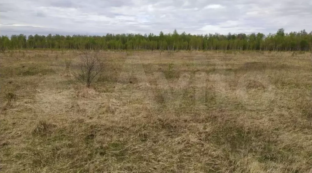 Участок в Тульская область, Алексин городской округ, д. Большое ... - Фото 1