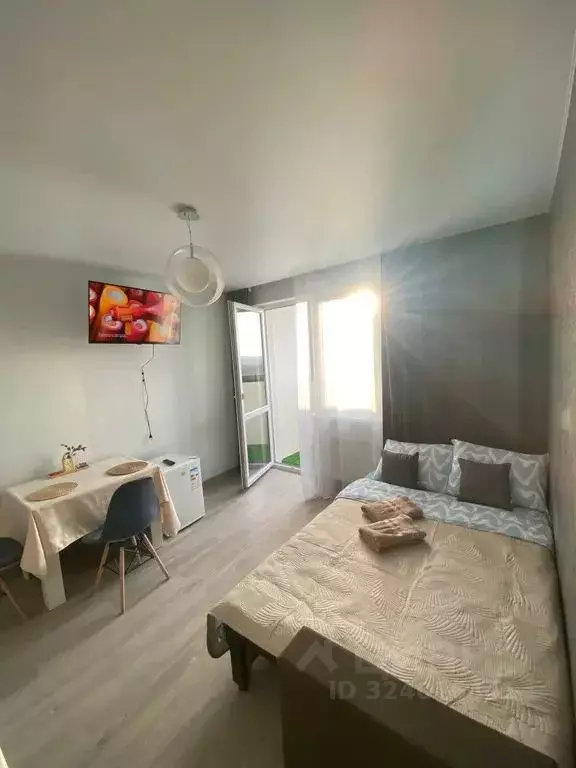 Студия Свердловская область, Екатеринбург ул. Отрадная, 1/2 (23.0 м) - Фото 2