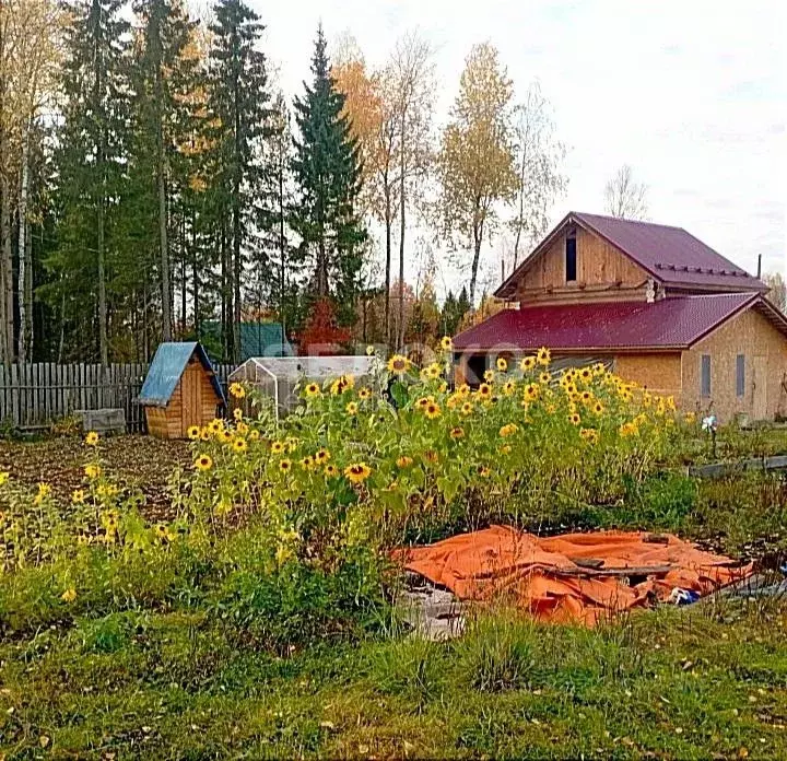 Дом в Пермский край, Березники ул. Андрея Ромашова, 25 (60 м) - Фото 0