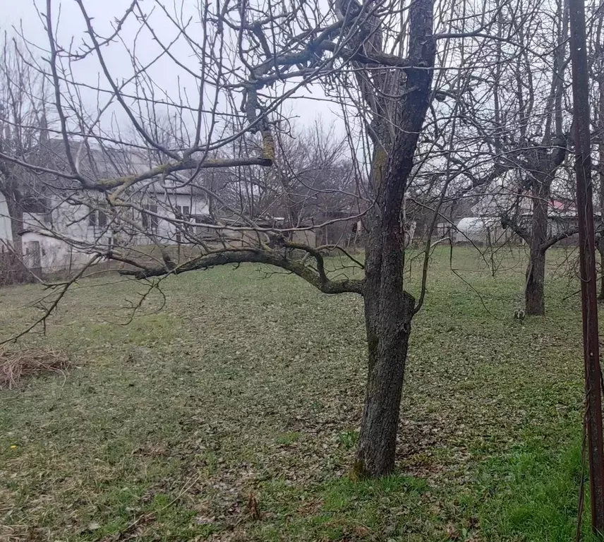 Участок в Краснодарский край, Кореновск Бейсугская ул. (14.0 сот.) - Фото 1