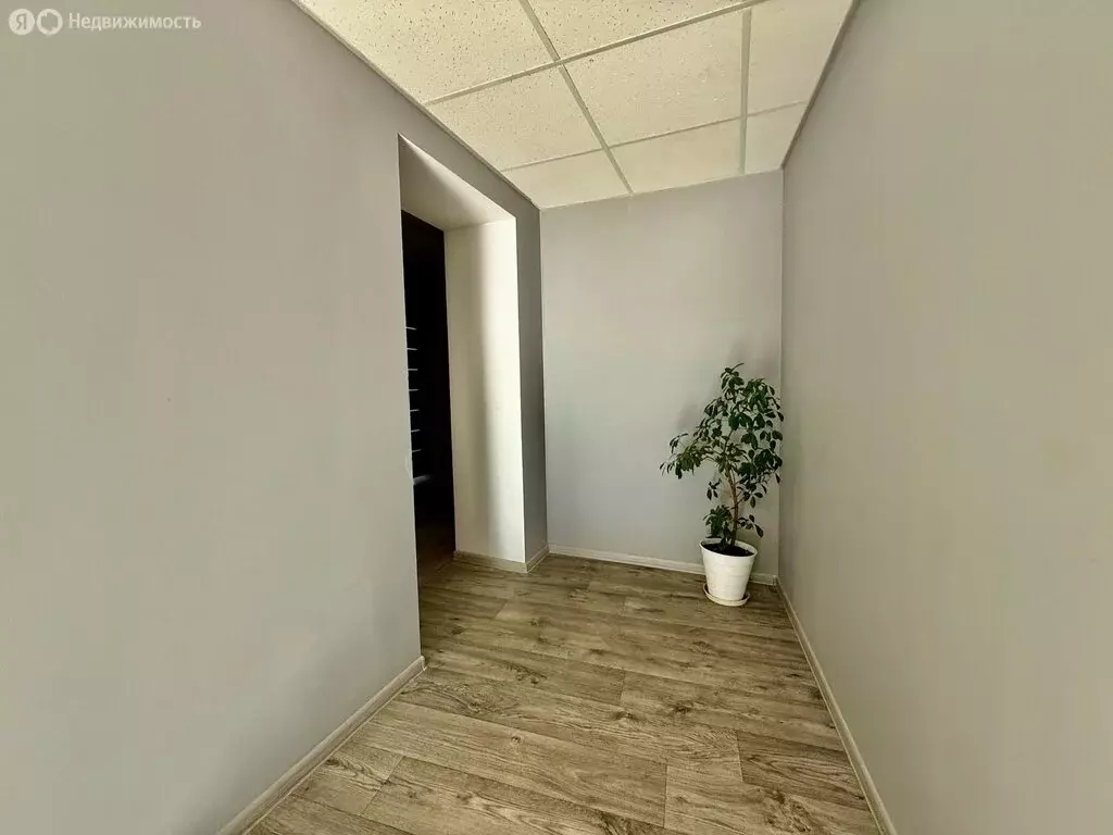 Помещение свободного назначения (40 м) - Фото 1