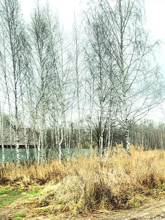 Участок в Татарстан, Казань Луч при Казанской КЭЧ района ПриВо МО РФ ... - Фото 2