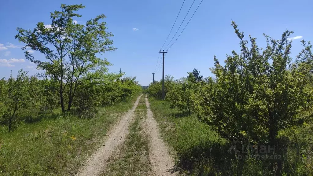 Участок в Саратовская область, Саратов ул. Большая Лесопарковая (8.0 ... - Фото 1