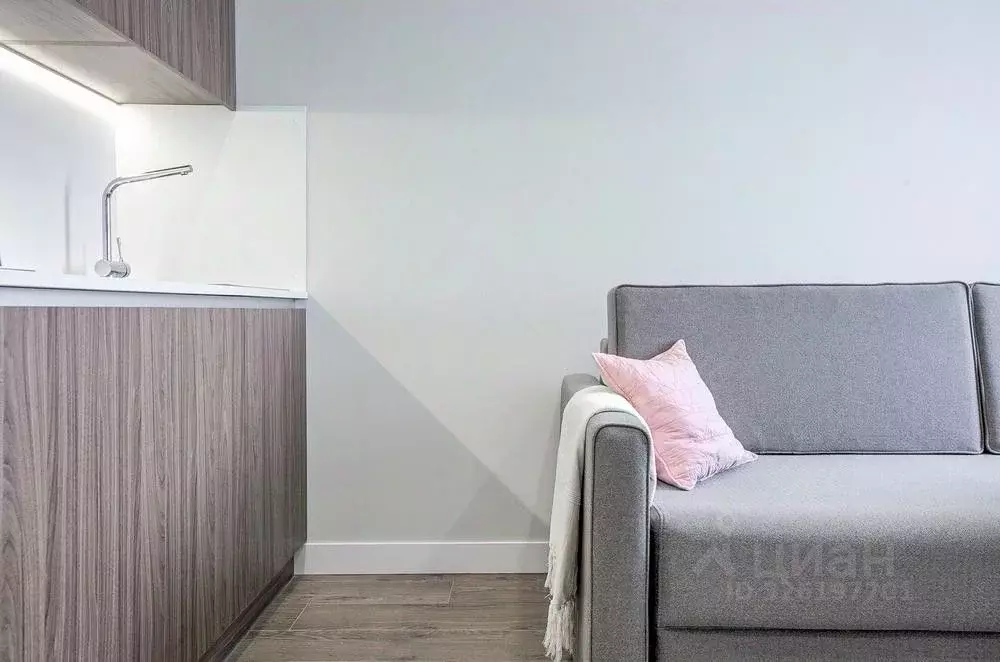 Студия Воронежская область, Воронеж ул. 9 Января, 68/2к3 (27.0 м) - Фото 1