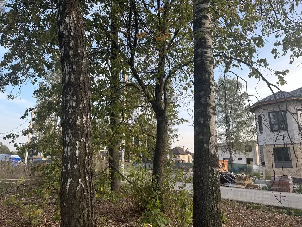 Участок в Московская область, Сергиево-Посадский городской округ, д. ... - Фото 0