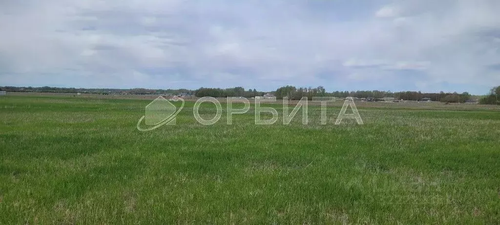 Участок в Тюменская область, Тюменский муниципальный округ, ... - Фото 1