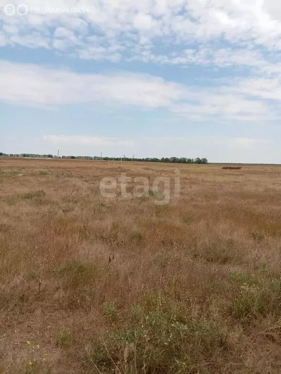 Участок в Сакский район, село Добрушино (11 м) - Фото 0