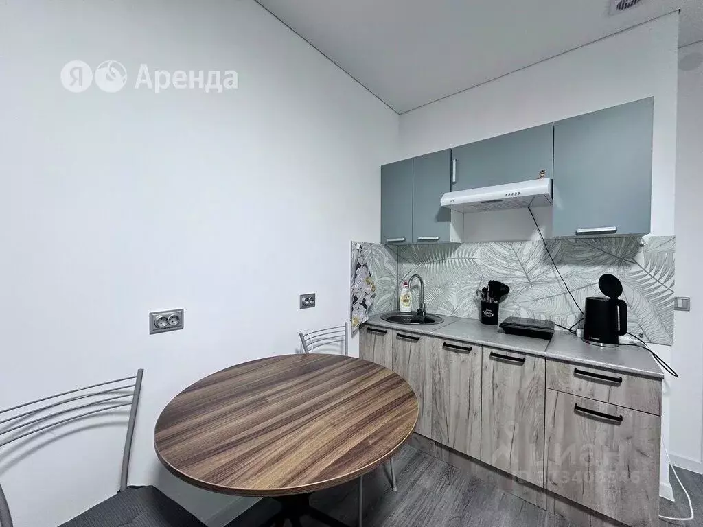 Студия Санкт-Петербург Пулковское ш., 95к3 (24.0 м) - Фото 0