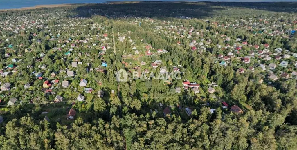 Участок в Ленинградская область, Кировский район, Синявинское ... - Фото 2