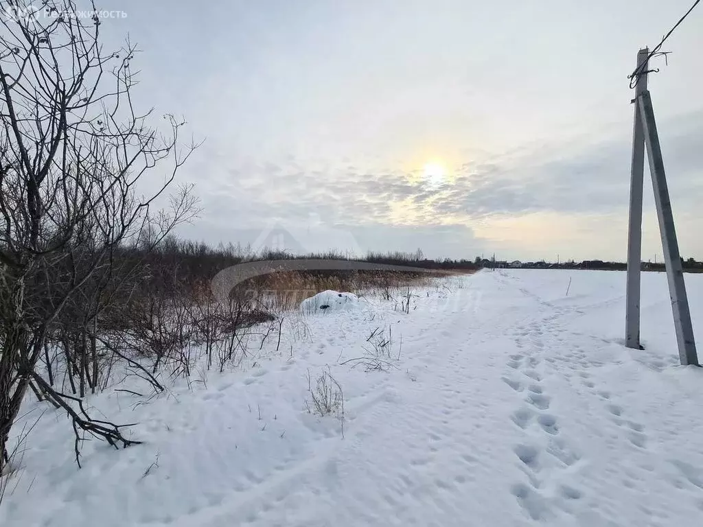 Участок в Тюмень, садовое товарищество Липовый Остров (40 м) - Фото 0