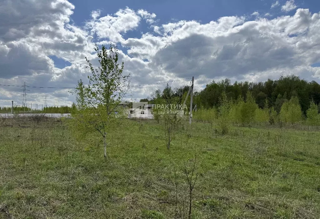 Продается участок в с. Ромашково - Фото 1