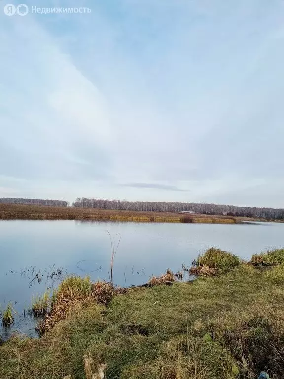 Участок в Челябинская область, Чебаркульский муниципальный округ, село ... - Фото 1