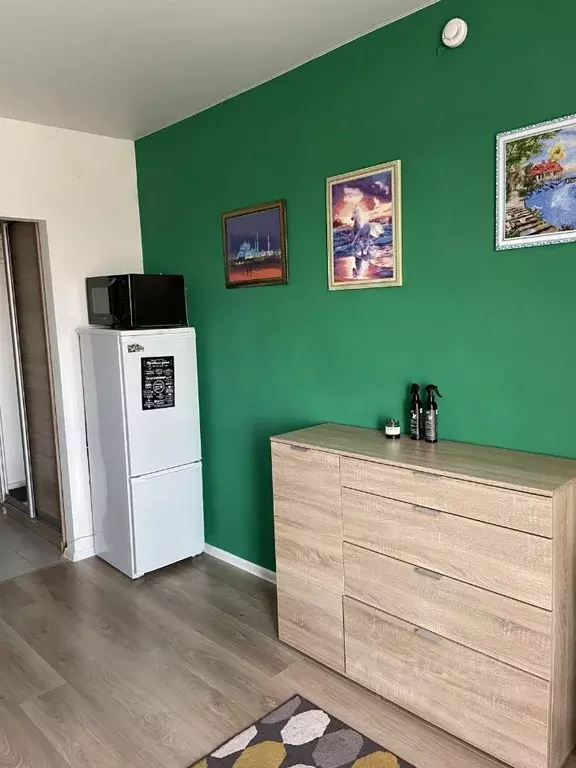 Студия Московская область, Балашиха ул. Реутовская, 5 (20.0 м) - Фото 2