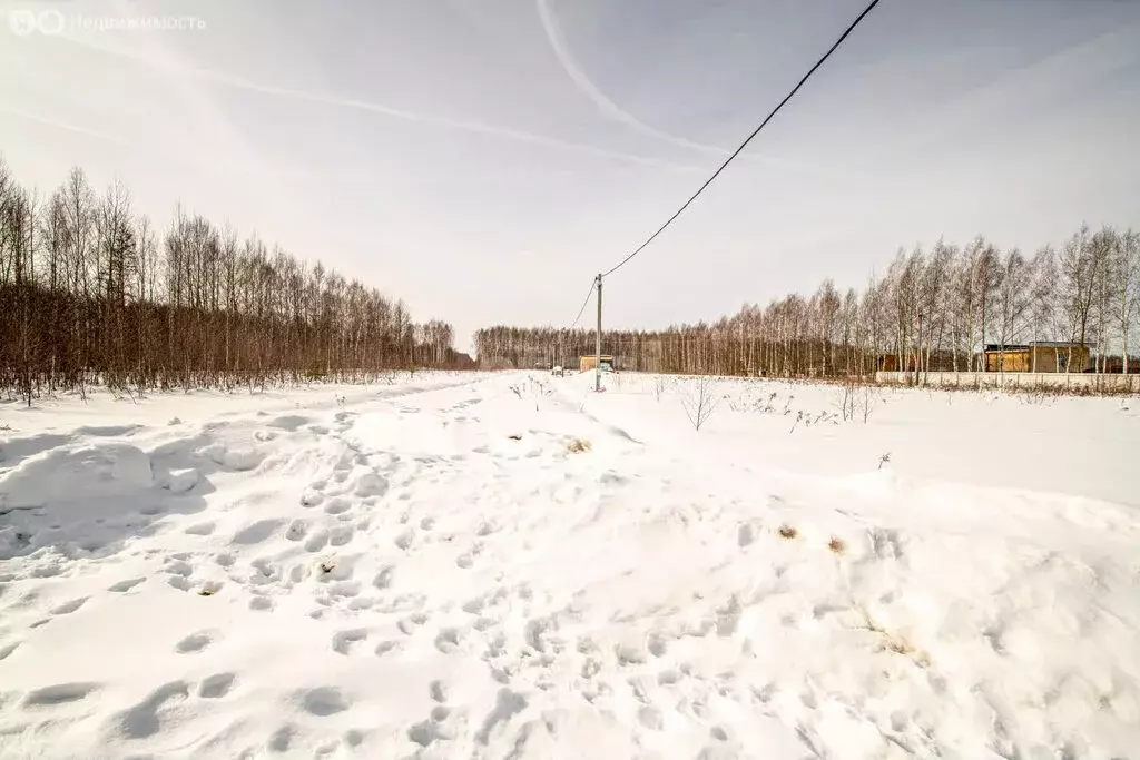 Участок в Нижегородская область, Городецкий муниципальный округ, ... - Фото 0