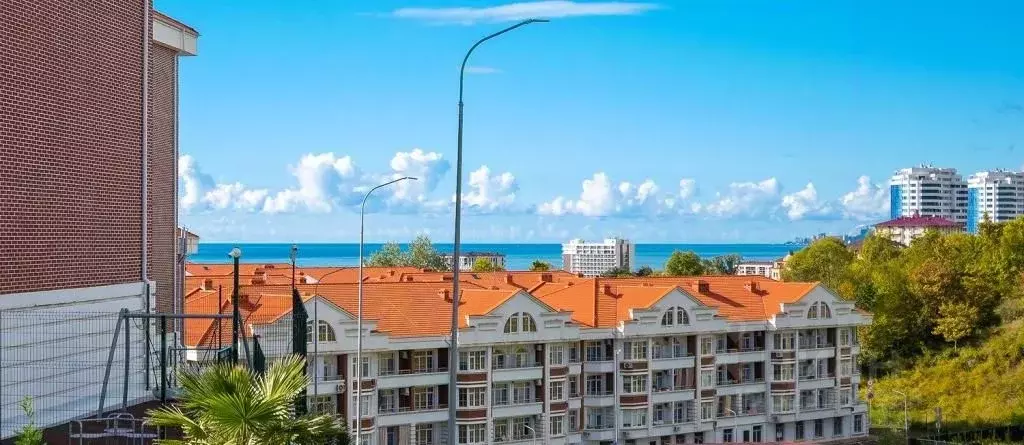 1-к кв. Краснодарский край, Сочи ул. Ленина, 290/7к7 (21.0 м) - Фото 2