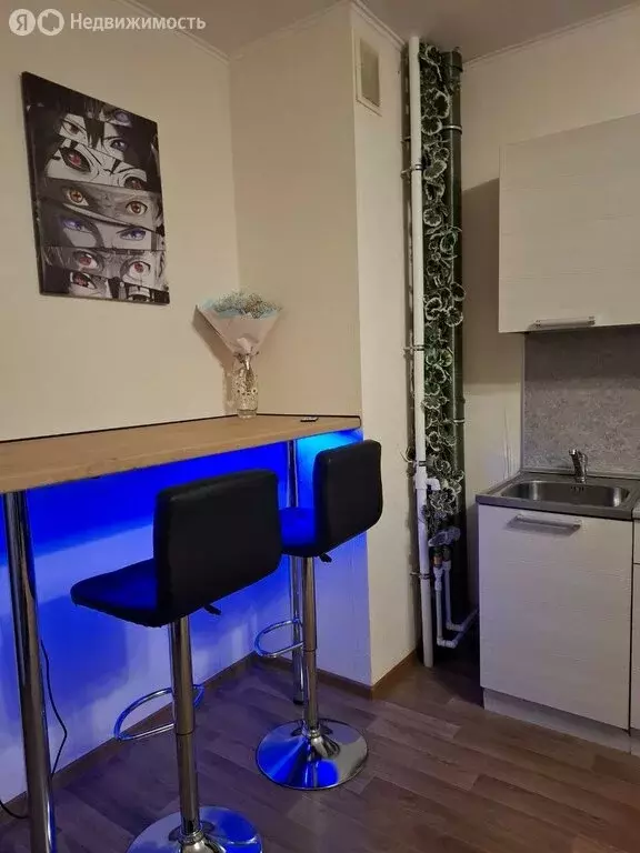 Квартира-студия: Санкт-Петербург, Кушелевская дорога, 3к10 (32.4 м) - Фото 1