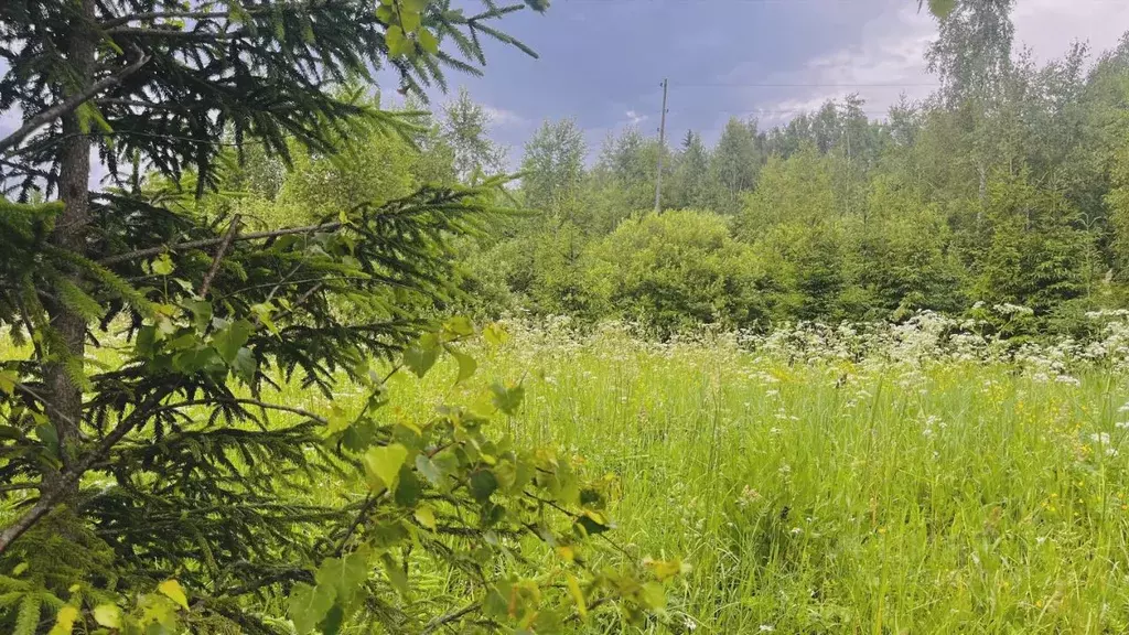 Участок в Московская область, Дмитровский муниципальный округ, д. ... - Фото 2