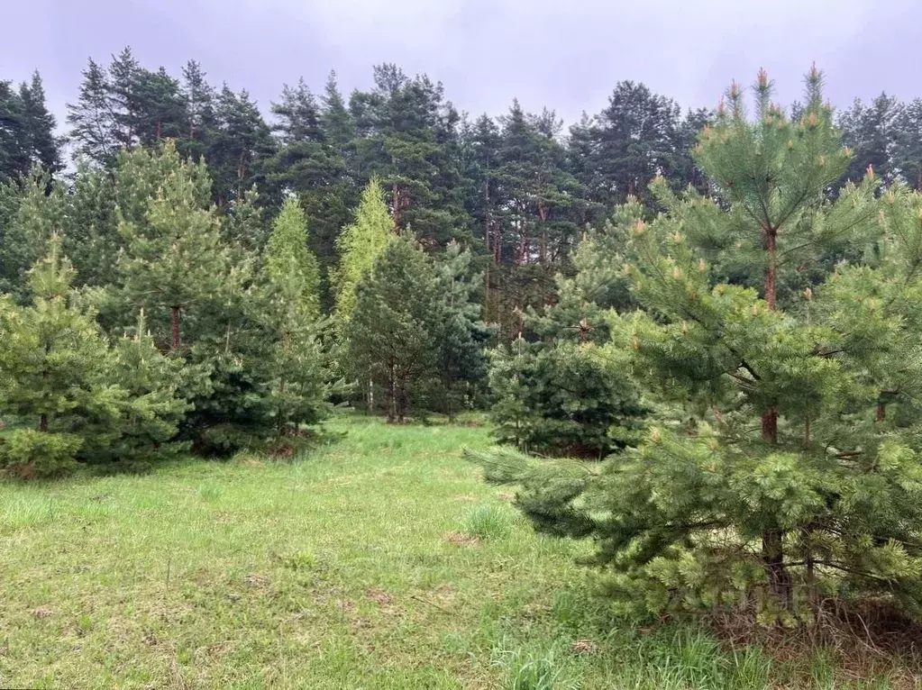 Дом в Московская область, Коломна городской округ, д. Трегубово, ... - Фото 1