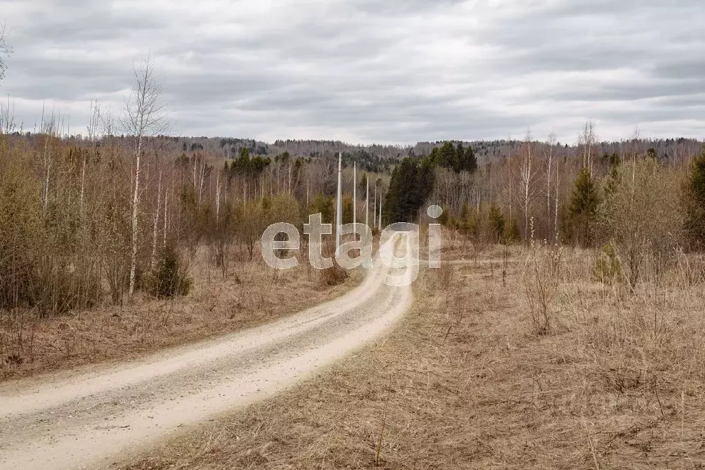 Участок в Пермский край, Добрянский городской округ, с. Красная Слудка ... - Фото 1