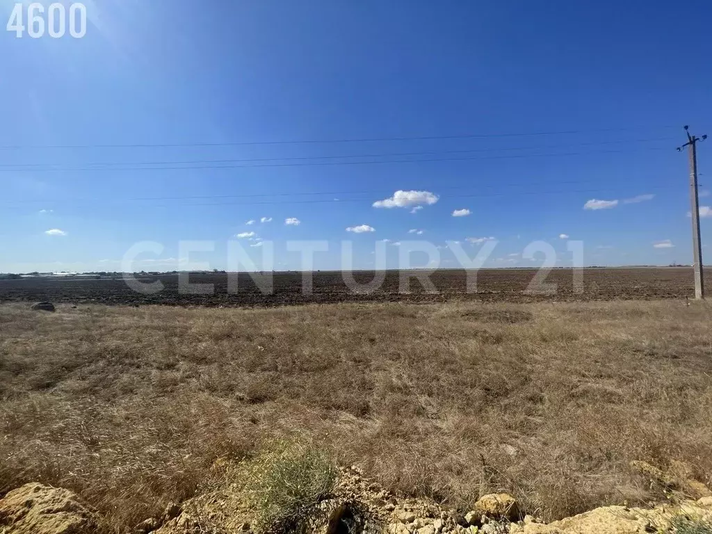 Участок в Крым, Сакский район, Суворовское с/пос, Заводское СПК ул. ... - Фото 2