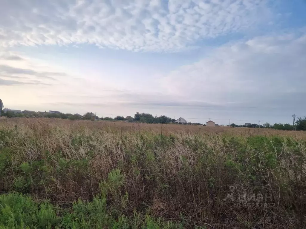 Участок в Краснодарский край, Ейский район, Ясенская ст-ца ул. Советов ... - Фото 0