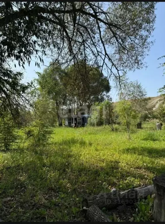 Участок в Белгородская область, Алексеевский муниципальный округ, с. ... - Фото 2