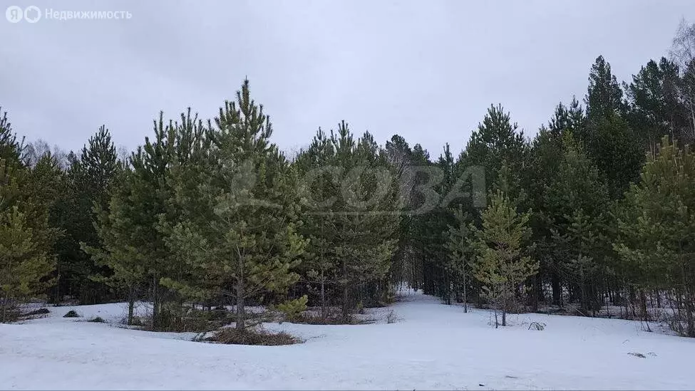 Участок в Нижнетавдинский район, Искинское сельское поселение (12 м) - Фото 0