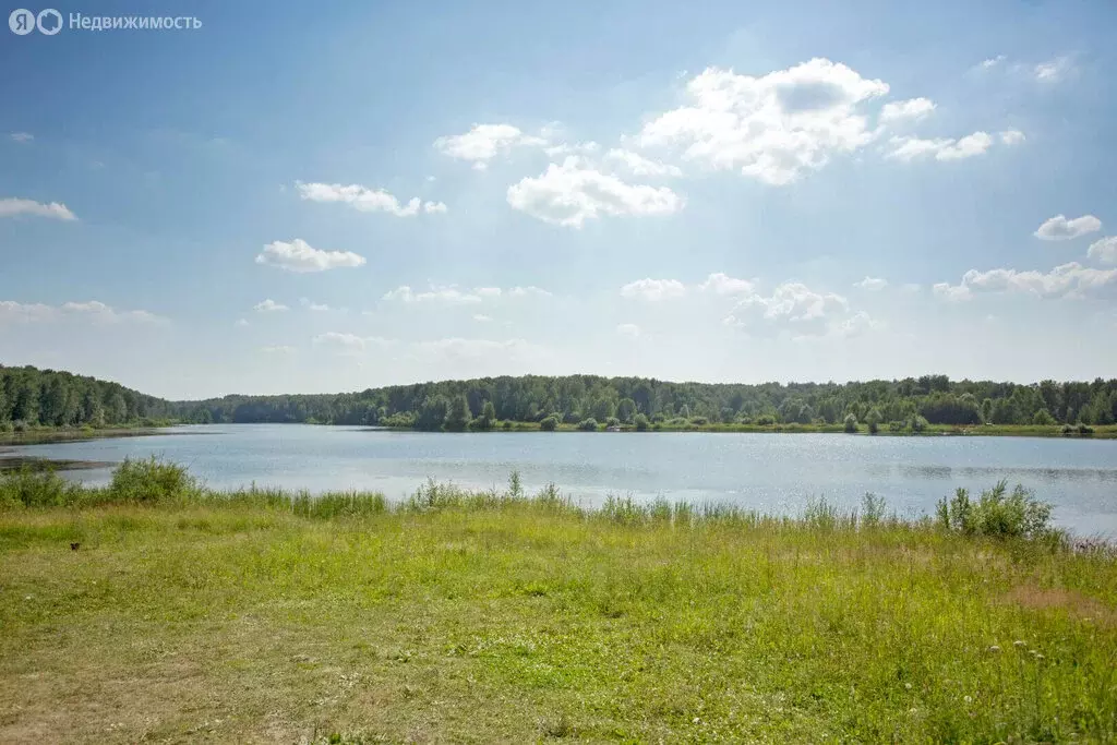 Участок в Новосибирский район, Берёзовский сельсовет (9.2 м) - Фото 1