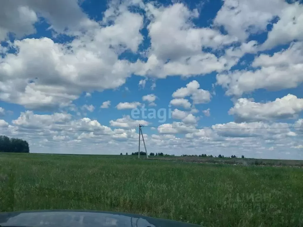 Участок в Тюменская область, Тюменский район, с. Кулига ул. Мраморная ... - Фото 0