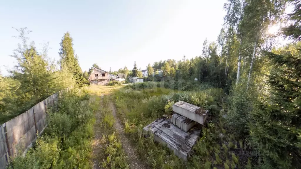 Участок в Ленинградская область, Тосненский район, Форносовское ... - Фото 0
