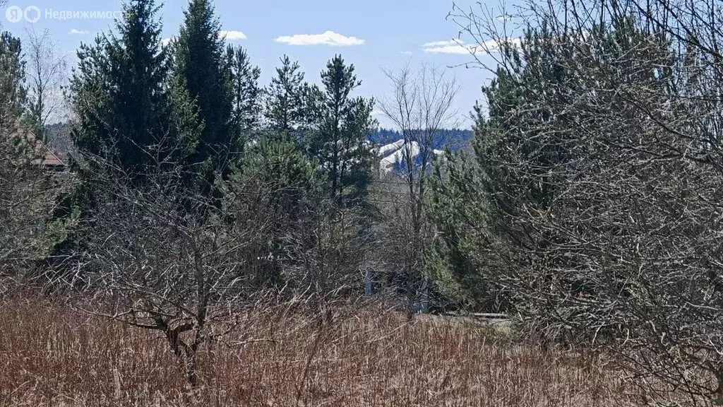 Участок в деревня Светлое, Садовая улица, 44 (29 м) - Фото 2